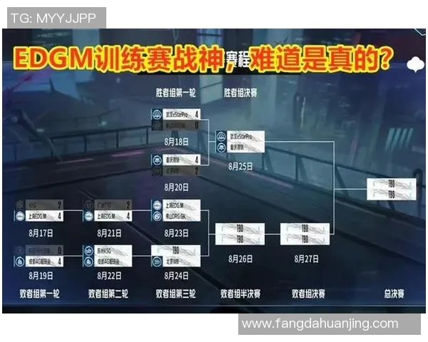 电竞比分解析FPX战队包夹战术及其对王者荣耀比赛的影响分析