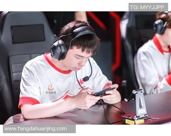 王者荣耀聚焦WE战队灵活战术与多变阵容的深度分析与探讨实时数据