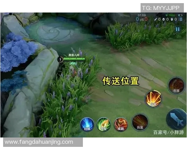 WE战队崛起之路从默默无闻到王者荣耀巅峰的成长历程实时新闻